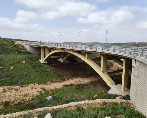 פרוייקט איליקון 2