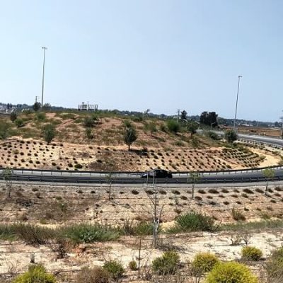 כביש7-3