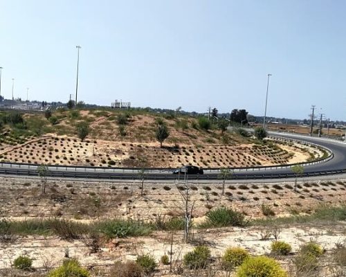 כביש7-3