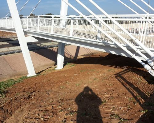 מחלף_דרור (1)